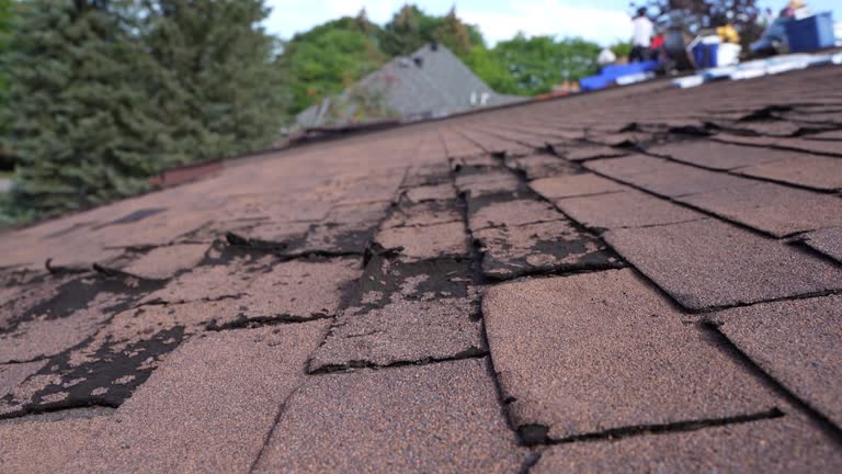 Best Roofing for New Construction  in Tiffin, OH